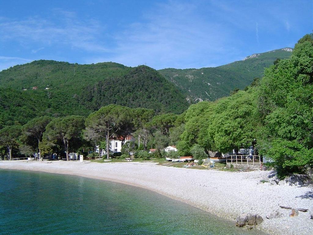 Apartment Zorka Medveja Εξωτερικό φωτογραφία