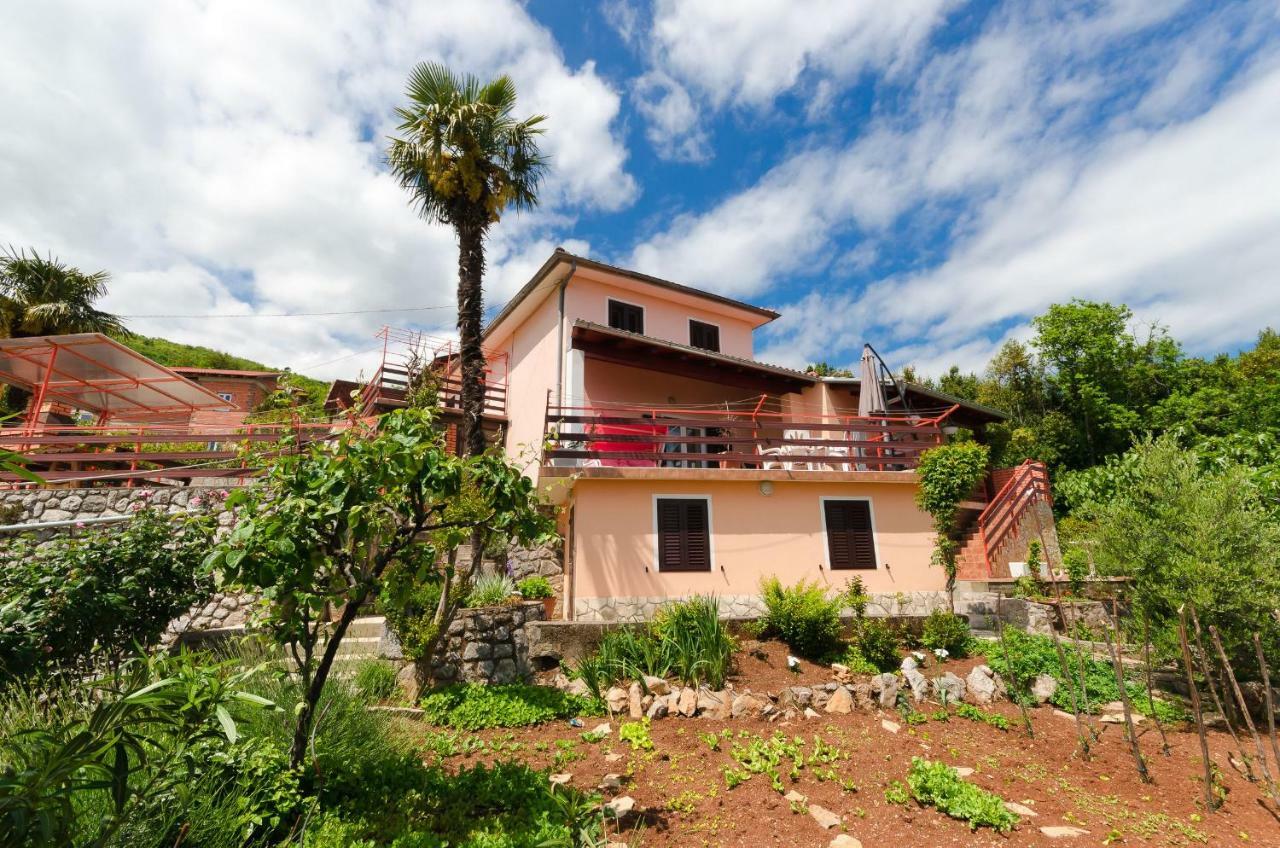 Apartment Zorka Medveja Εξωτερικό φωτογραφία